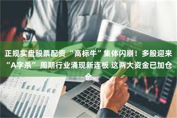 正规实盘股票配资 “高标牛”集体闪崩!多股迎来“A字杀” 周期行业涌现新连板 这两大资金已加仓