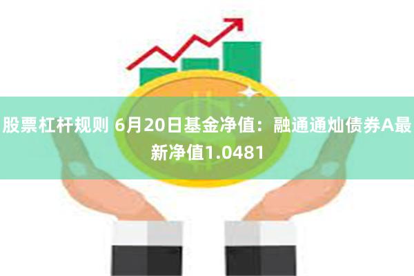 股票杠杆规则 6月20日基金净值:融通通灿债券A最新净值1.0481