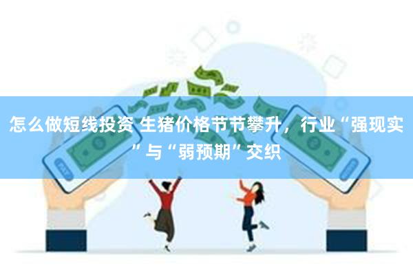 怎么做短线投资 生猪价格节节攀升,行业“强现实”与“弱预期”交织