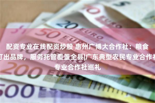 配资专业在线配资炒股 惠州广博大合作社:粮食生产打出品牌,服务托管覆盖全县|广东典型农民专业合作社巡礼