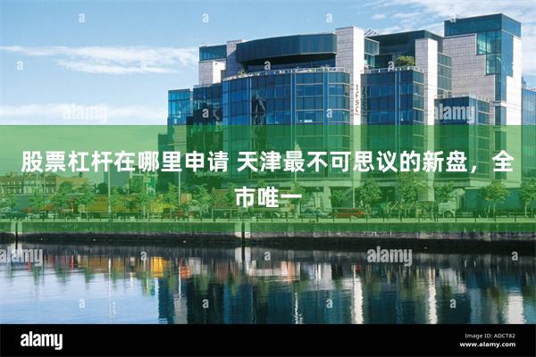 股票杠杆在哪里申请 天津最不可思议的新盘,全市唯一
