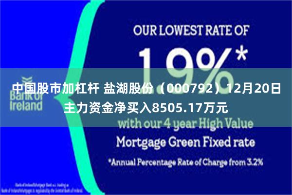 中国股市加杠杆 盐湖股份(000792)12月20日主力资金净买入8505.17万元