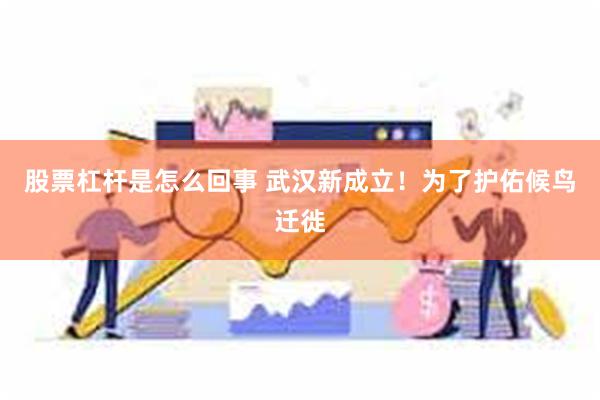 股票杠杆是怎么回事 武汉新成立!为了护佑候鸟迁徙