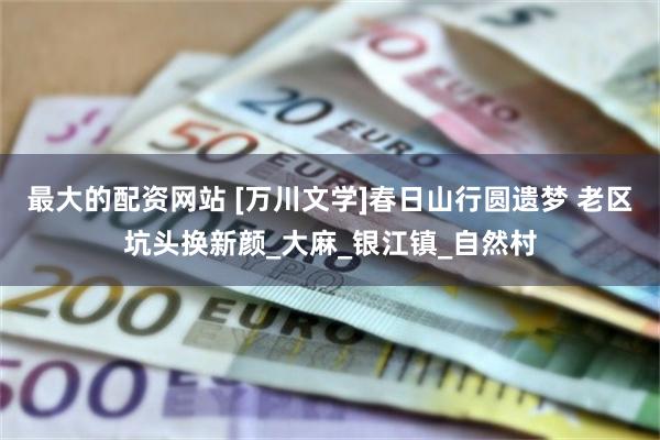 最大的配资网站 [万川文学]春日山行圆遗梦 老区坑头换新颜_大麻_银江镇_自然村