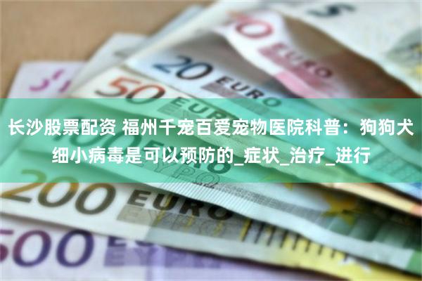 长沙股票配资 福州千宠百爱宠物医院科普:狗狗犬细小病毒是可以预防的_症状_治疗_进行
