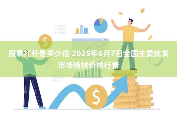 股票杠杆是多少倍 2025年6月7日全国主要批发市场杨桃价格行情