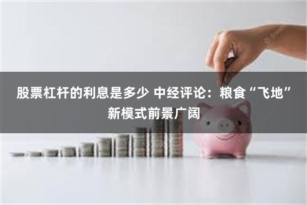 股票杠杆的利息是多少 中经评论：粮食“飞地”新模式前景广阔
