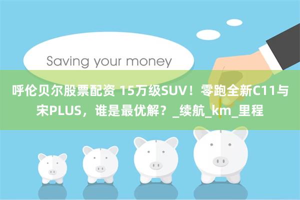 呼伦贝尔股票配资 15万级SUV!零跑全新C11与宋PLUS,谁是最优解?_续航_km_里程