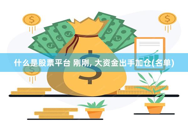什么是股票平台 刚刚, 大资金出手加仓(名单)