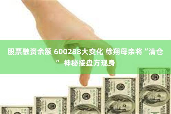 股票融资余额 600288大变化 徐翔母亲将“清仓” 神秘接盘方现身